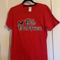Disney Big Brother 