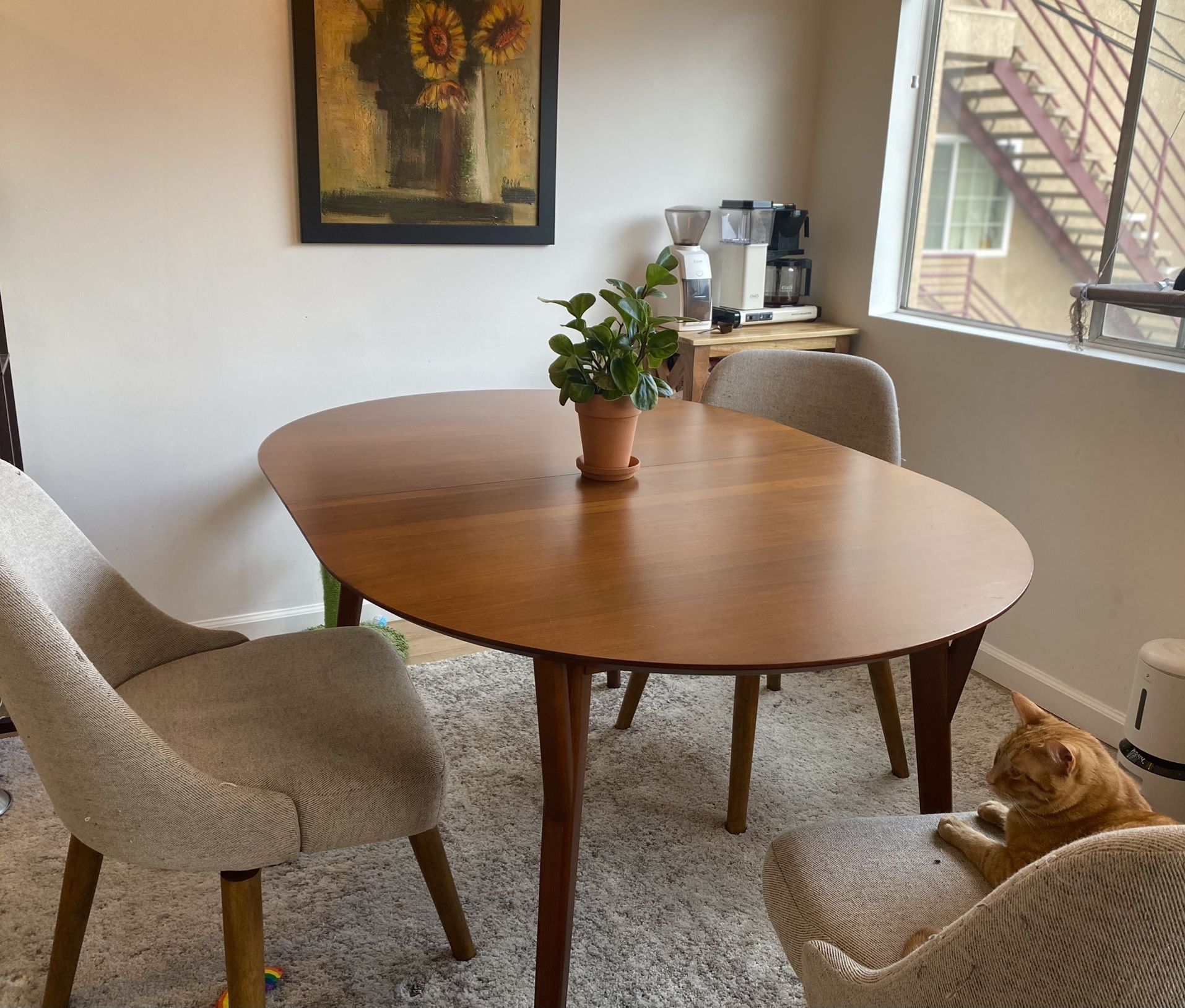 West Elm “Mid-Century Rounded Expandable Dining Table”