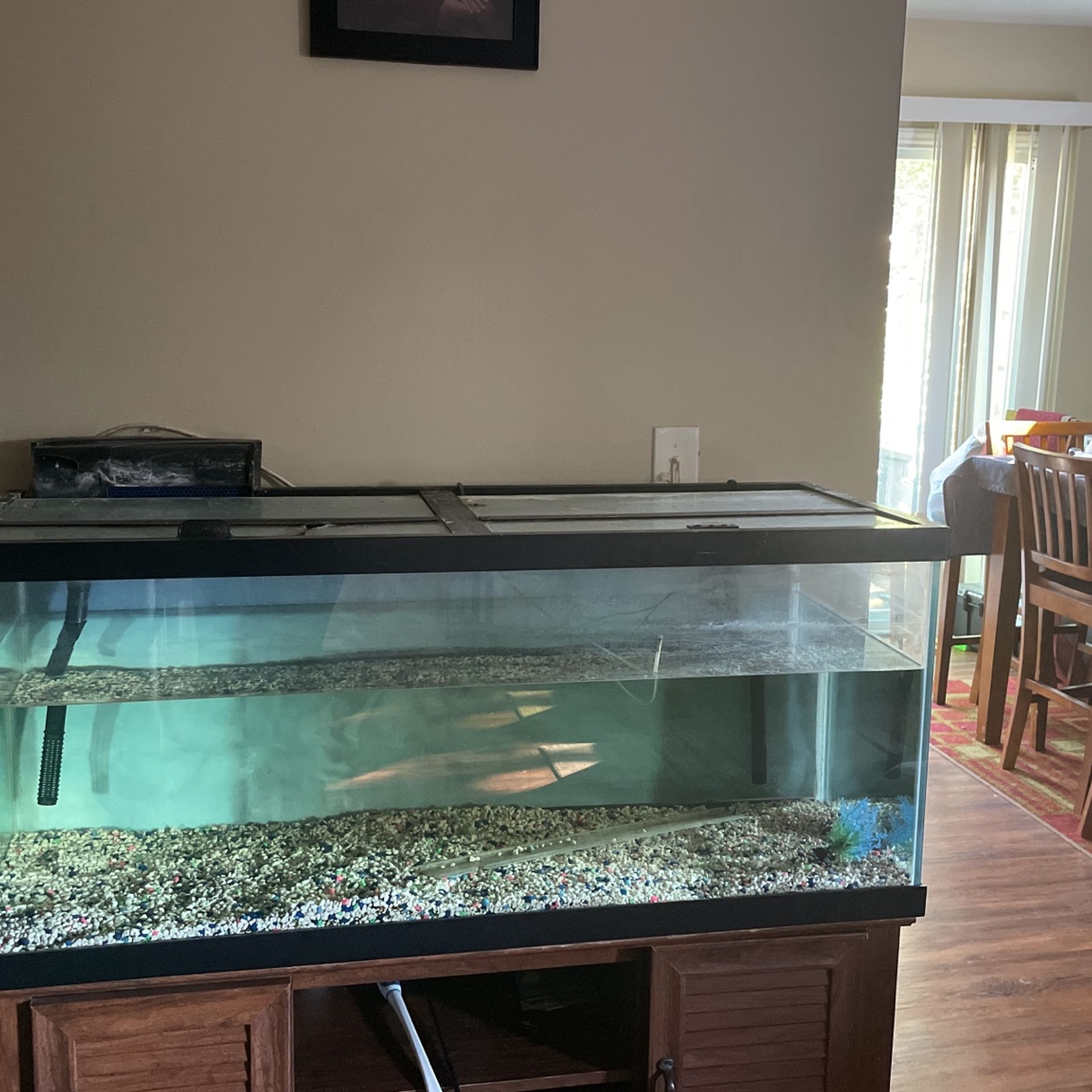  Large fish tank 