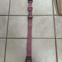 Better Basics Reflective Dog Collar