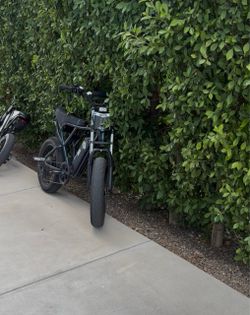 Modded ridstar for a zooz