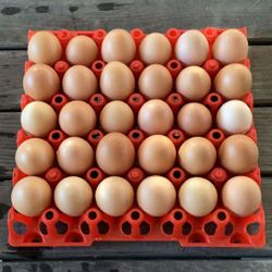 30 Flat Of Eggs, Vegan Fed Happy Chickens 