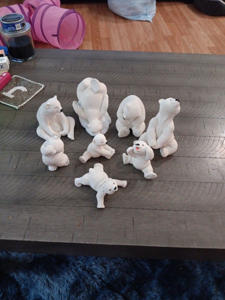 Polar Bear Collections