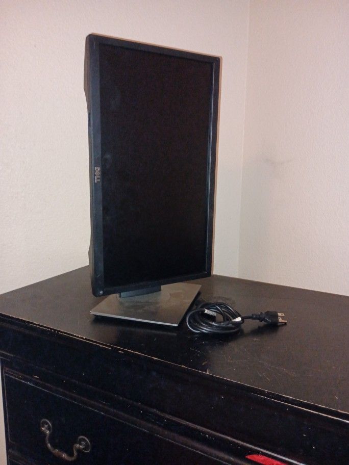 Dell Panel Monitor