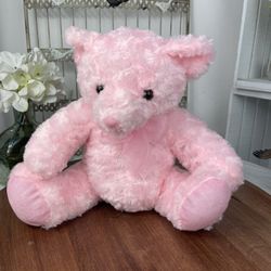 Pink Teddy Bear Stuffed Animal Plush.