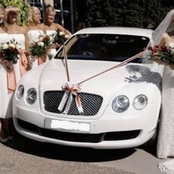 Dream Wedding Car
