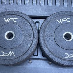 PAIR  OF  45  LB.  BUMPER  PLATES 