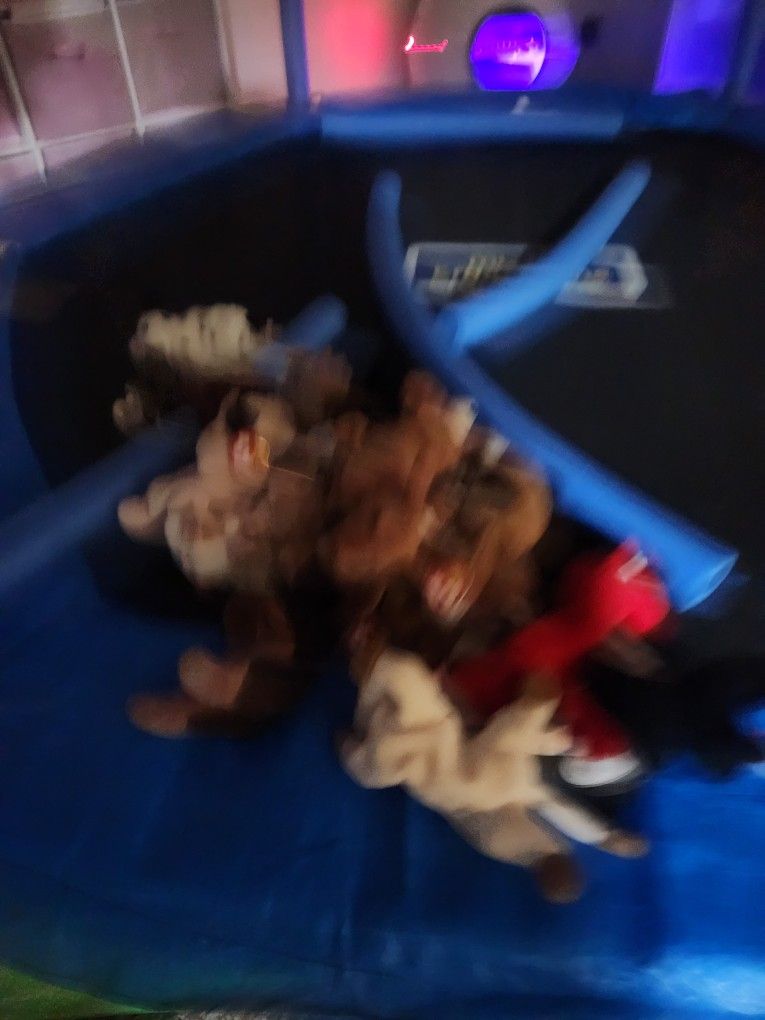 Rare 1st Edition Weenie 35 Rare Beanie Babies For Sale
