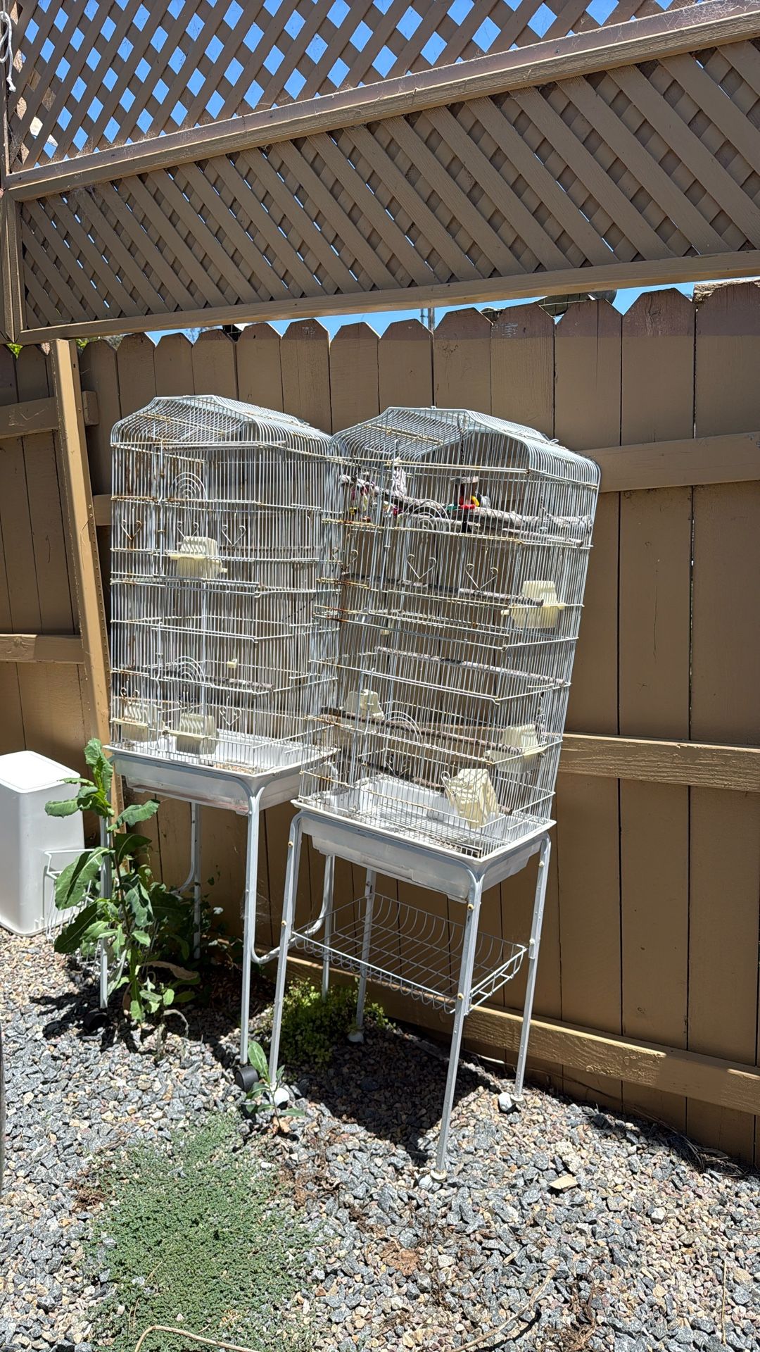 2 Bird Cage