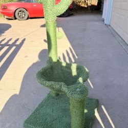 Cat Scratching Post