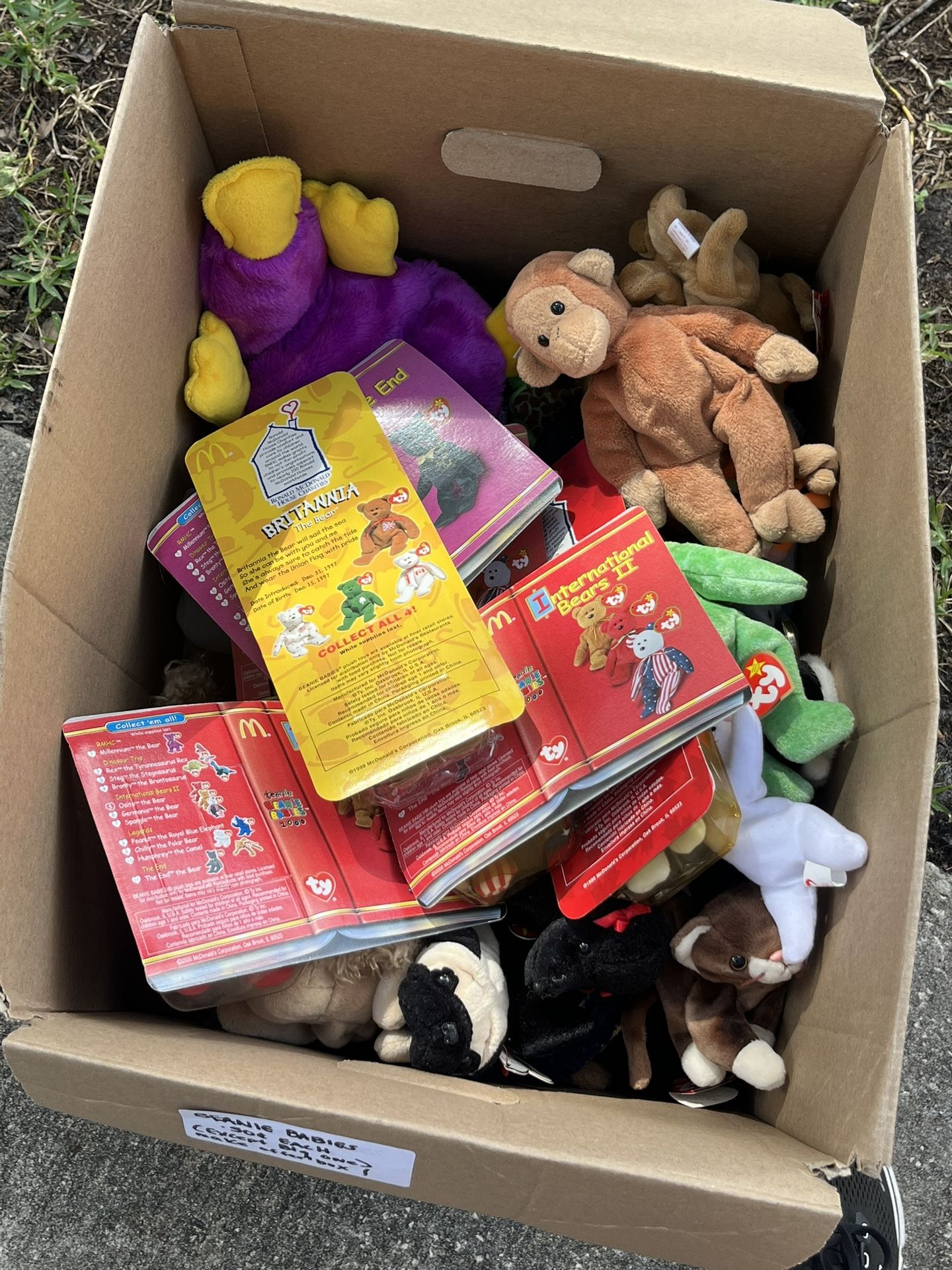 Beanie BABIES! Entire Box 