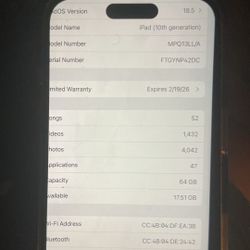 iPad WiFi Only