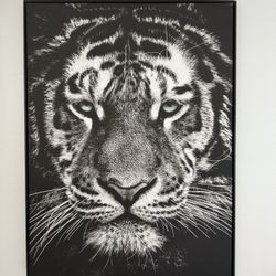 Tiger Wall Picture 