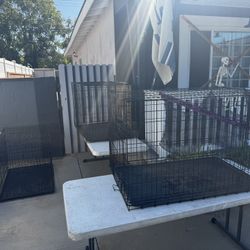 Wired Dog Crates