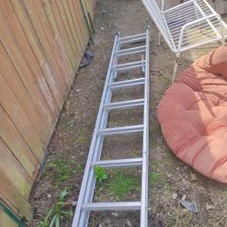 Excellent Condition Ladder