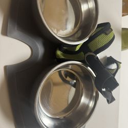 Dog Bowl Plus A Small Dog Harness