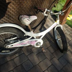Gaint Girls Bike Fat Tires 