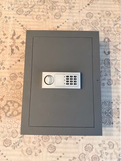 Biometric wall safe
