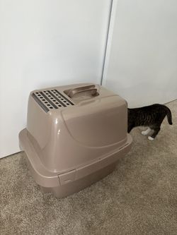 Vibrant Life Large Cat Litter Box