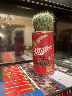 Miller Malt Liquor Vintage Can Cactus