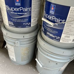 New Paint 