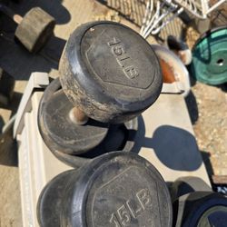 15lb Dumbells 