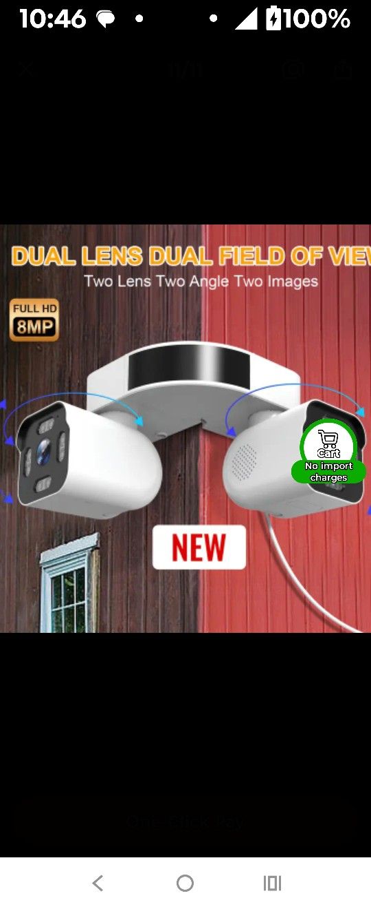 Security Camera Two In One