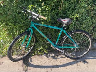 Raleigh M200 21 Speed Mountain Bike 26 Inch Wheels Quick Release Seat Quick Release for Both Wheels Bottle Carrier