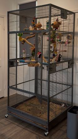 Bird cage