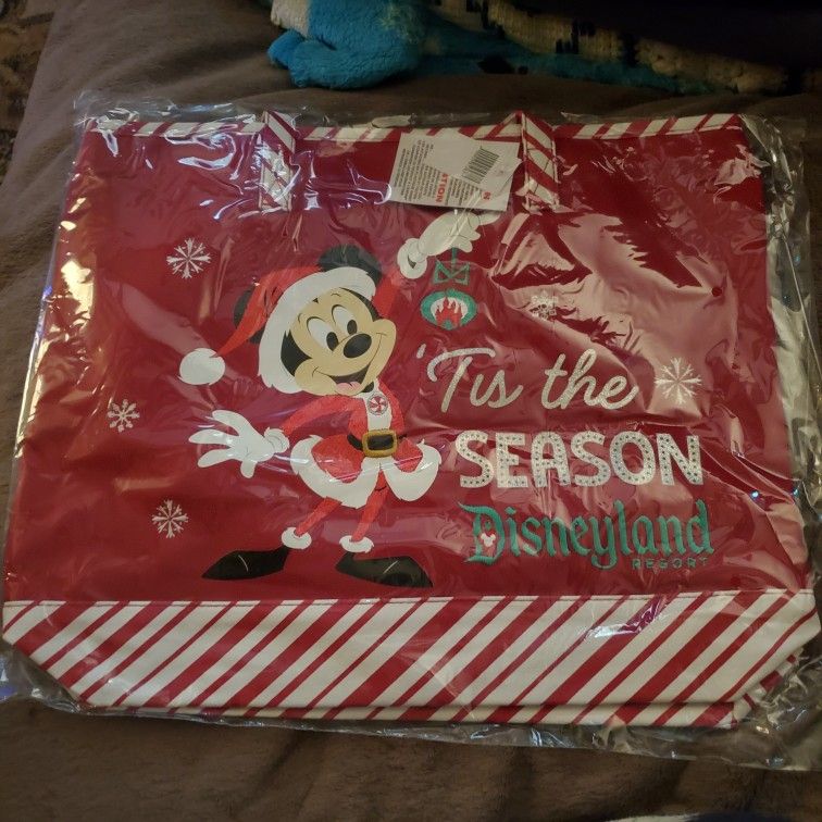 Disney Christmas Bag