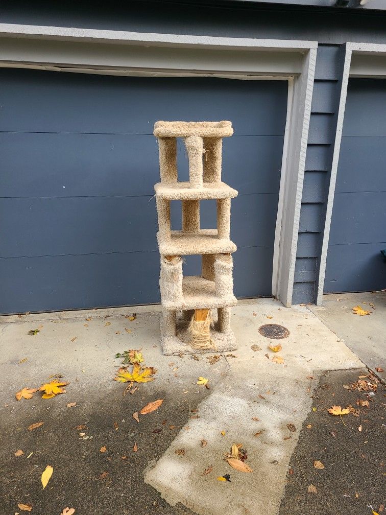 Cat Tower 