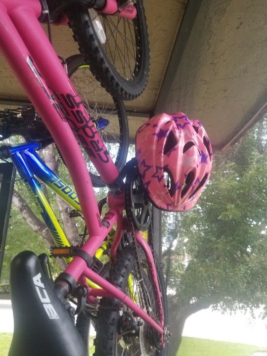 Bicicleta Niña. 20 Inch