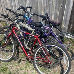 Bike 60 Each Firm 