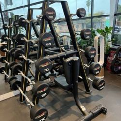 Fixed Curl Bars With Matrix Commercial Grade Bar Holder Workout Fitness Weigts