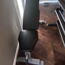 Workout Bench