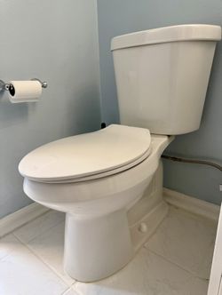 Glacier Bay Dual Flush Toilet