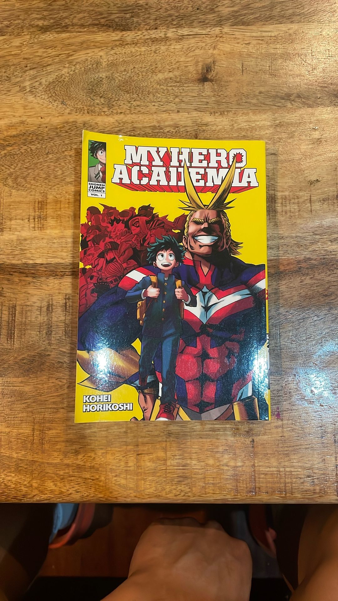 MY HERO ACADEMIA VOL 1