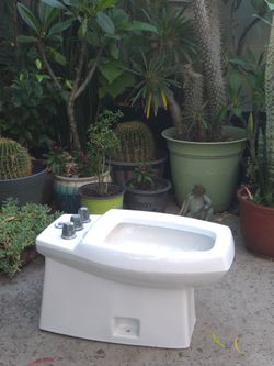 Videt vintage Kohler toilet