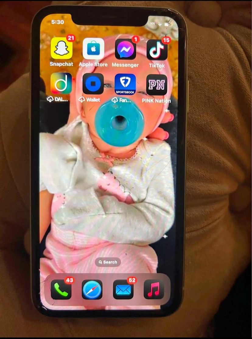 IPHONE 11 With Tik Tok Installed