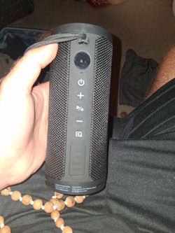 Rawr Bluetooth speaker