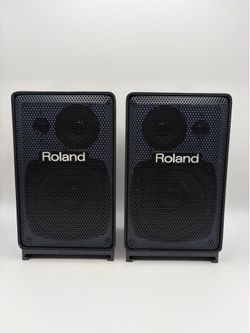 Roland 50W Passive Monitors (Pair)–Electronic Drums