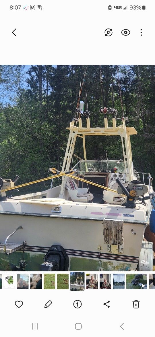 1987 Cris Craft Seahawk