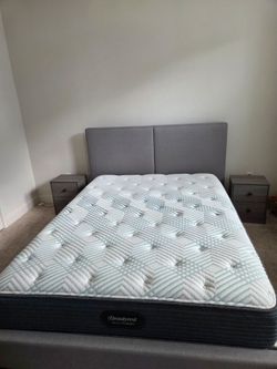 Queen Bed Frame and Box