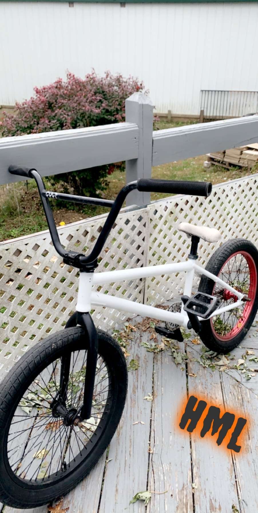 pro BMX bike