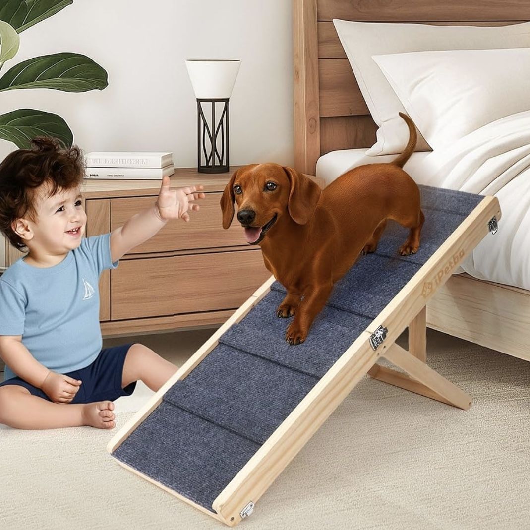 iPetba Small Dog Ramp 
