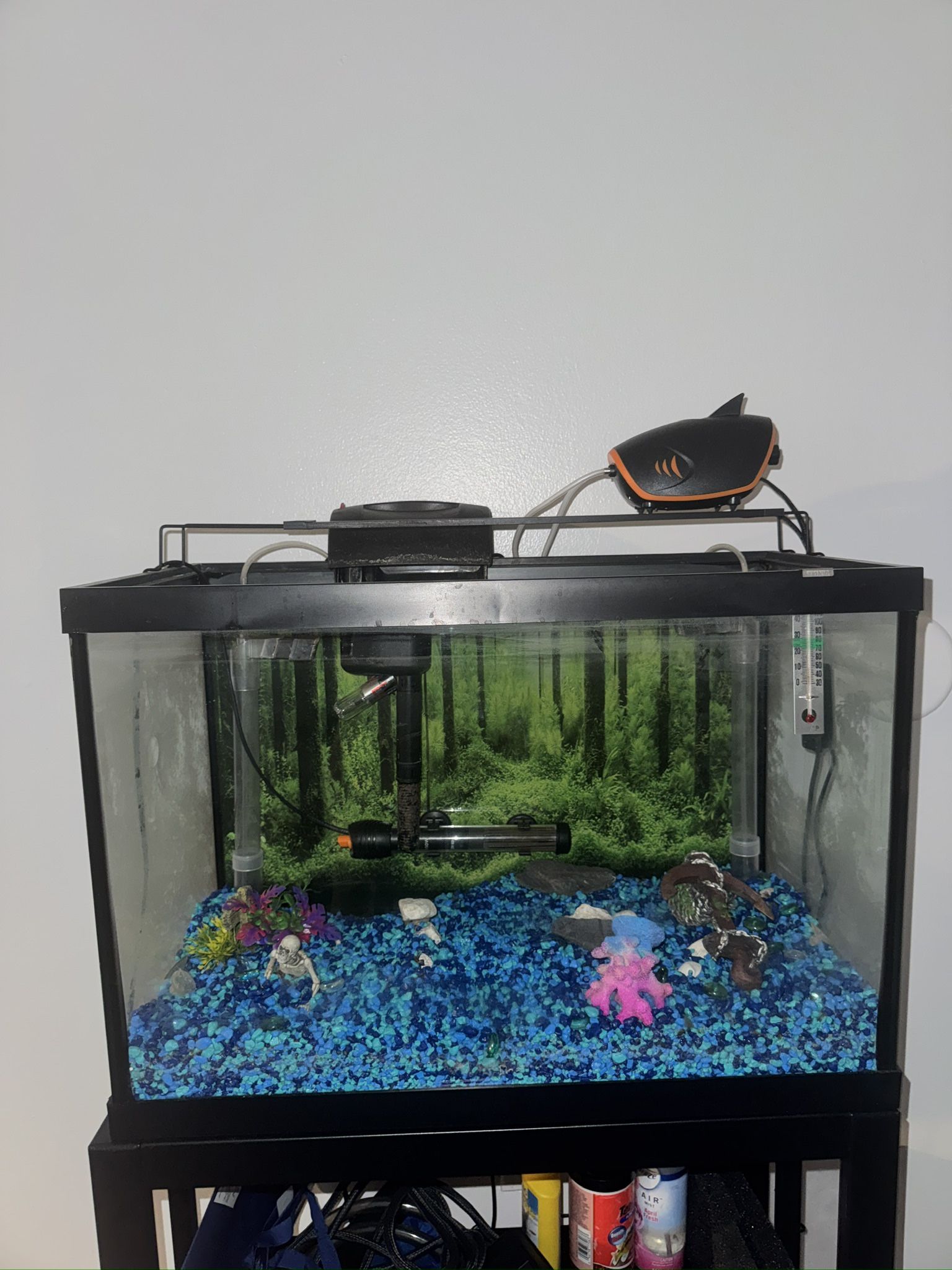 SE VENDE PECERA de 40 Galones Con Filtro Incluido 40 gallon fish tank for sale with filter included
