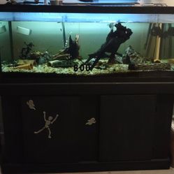 75 gallon fish tank and stand