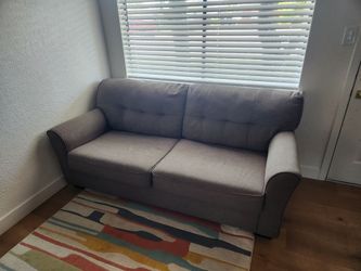 Ashley Sleeper Sofa FREE