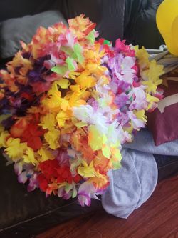 50 + Leis