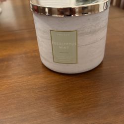 Candle Eucalyptus Mint